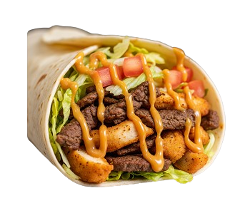 Chicken Shish, Lamb Shish & Donner Wrap 